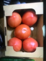 SEISHIN とまと 1kg