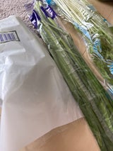 大一 こまつな入れ 中