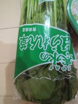 信和 ほうれんそう青森産用袋 1P