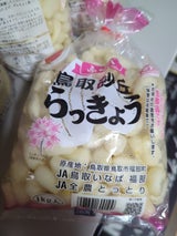 JA鳥取 福部産 砂丘らっきょう 洗い 1kg