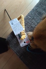 アースペット ねこモテごっつじゃらし アヒル 1本