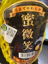 水浅青果 パイン 台湾産