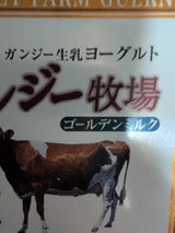 ガンジー牧場 ガンジーヨーグルト 90g