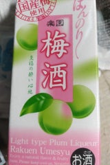 楽園 梅酒 パック 500ml