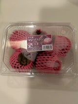 日興 マンゴスチンタイ産 5P