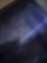 テロソン ウイルス増殖環境 消滅 300ml