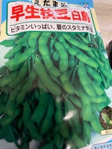 宇都宮種苗 早生枝豆白鳥 35ml