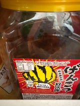 紋次郎購入品 紋次郎いか 60本入 【新規格】 (株)一十珍海堂 【残り1個】 : 善野菓子