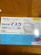 La Bella 不織布マスク 白 51枚