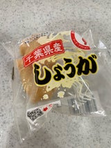 グランド・ベジ しょうが 千葉県産 80g