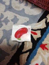 ジュポン さくらんぼの里 250g