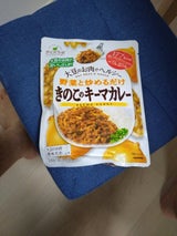 マルコメ ダイズラボきのこのキーマカレー 168g