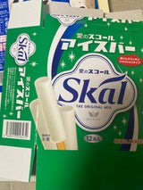 セリアロイル スコールミニバーマルチ 1P