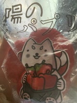 JA遠州中央 太陽のパプリカ 赤