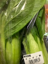 JA六甲 チンゲン菜