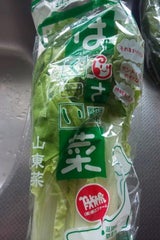 横江 はくさい菜 180g