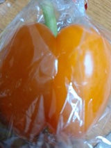 デ・リーフデ北上 パプリカ オレンジ