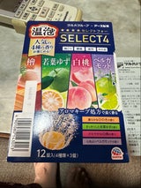 アース 温泡ベストセレクション 12P