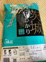 イイダ 茨城県産コシヒカリ100% 5kg