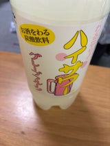 博水社 ハイサワー グレープフルーツ ペット 1l