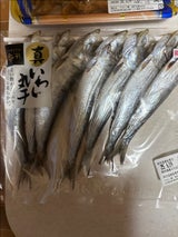 カネヤ 真いわし丸干 7尾