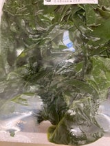 山忠商店 湯通しわかめ 250g