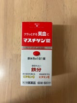 マスチゲン錠 60錠