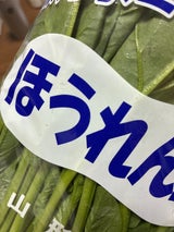 笹沼 ほうれんそう 1P