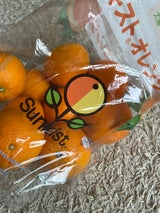 サンキスト オレンジリルスナッパー 1P