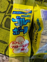 桂屋 ミリオン ブル-ボ-ル 容器付き 2P