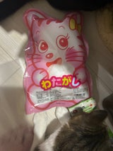 三浦 動物わたがし 20g