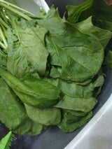 ベジコン 有機ホウレン草 群馬産 袋