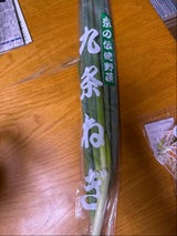 JA全農京都 九条ねぎ 150g