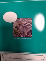 ニッケン文具 学習帳さんすう17マス セミB5