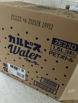 カルピス カルピスウォーター ペット 1.5L×8