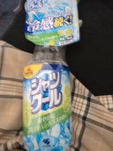 熱中対策 シャツクールFシトラス大容量 280ml
