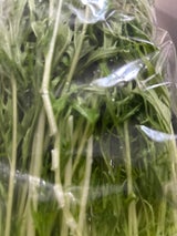 かさい 京みず菜 150g