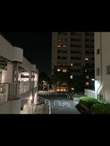 小善本店 のりカケルくん わさび味 60g