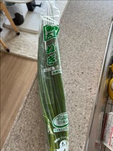 マルシン ネギ太郎