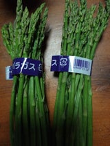 長印飯山 アスパラガス L 100g