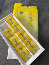 谷和 湘南ゴールドゼリー 8個