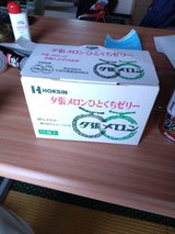 北辰フーズ 夕張メロンひとくちゼリー 15個