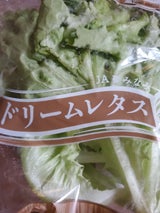 JA白河 サマーレタス