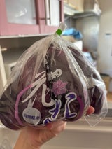 赤岡 花茄子 500g