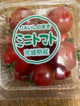 JAいしのまき ミニとまとレギュラーP 200g