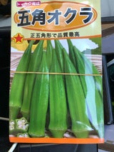 東北植苗 五角オクラ