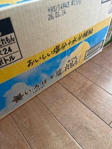 コカコーラ いろはす 塩とれもん 12960ml