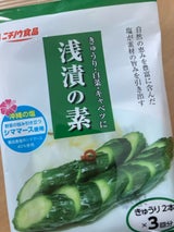 ニチノウ食品 浅漬の素 きゅうり用 10g×3
