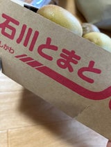 JA石川 石川県産トマト 1kg