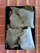 ひらい 柏餅 5個